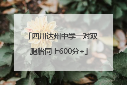 四川达州中学一对双胞胎同上600分+